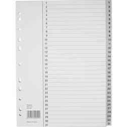 Budget Budget Register A4 Plast 1-31