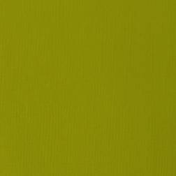 Liquitex "Basics 118ml Light Olive Green 218"