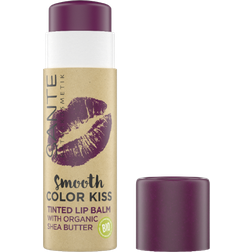 SANTE Smooth Color Kiss 03 Soft Plum