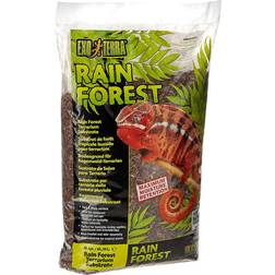 Exo Terra Rain Forest