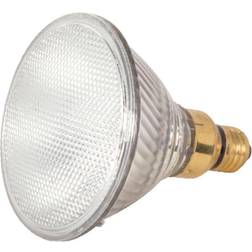 Satco Satco 70 W PAR38 Floodlight Halogen Bulb 1,380 lm Warm White 1 pk