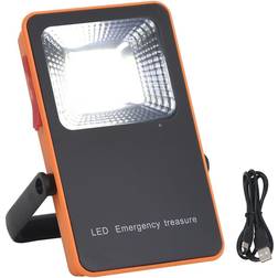 vidaXL LED Floodlight ABS 10 W Cold