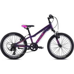 Fuji Dynamite 20 2022 Kids Bike