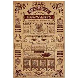 Harry Potter Quidditch at Hogwarts Poster multicolour