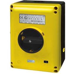 Bernstein Sikkerhedsafbryder 3pol-85A ATEX zone 21-22 SE100003BEXB0