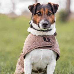 Back On Track Dog Coat Haze Collection