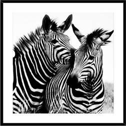 Versa Zebra Krystal (2 x 50 x 50 cm) Billede 50x50cm