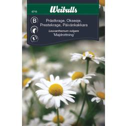 Weibulls Prästkrage Majdrottning Blomsterfrø