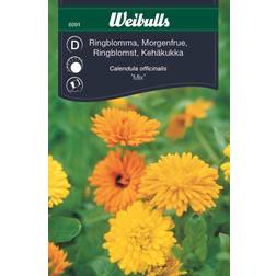 Weibulls Ringblomma Mix Blomsterfrø