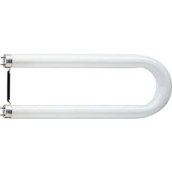 Osram L U 36 W/830