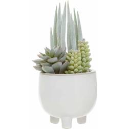 Premier Housewares Fiori Mixed Succulents In White Pot Decorative Item