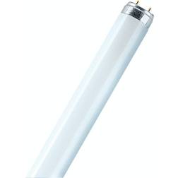 Osram Leuchtstoffröhre T8 L 58W/840 G13 58W 151,42 cm neutralweiß 0773702656