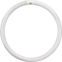 Crompton Circular Fluorescent Lamps 60W GR10q