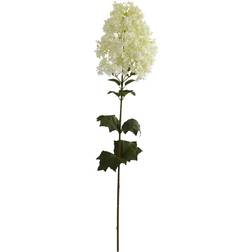 White Peegee Hydrangea Stem, 2ct. MichaelsÂ White One Size