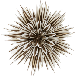 Jotex Spica Julstjärna ∅ 64cm