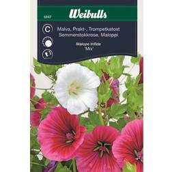 Weibulls Malva Mix Blomsterfrø