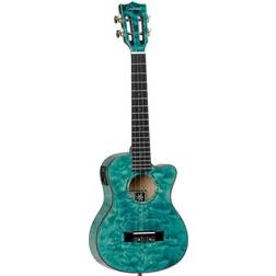 Tanglewood TWT 24 E