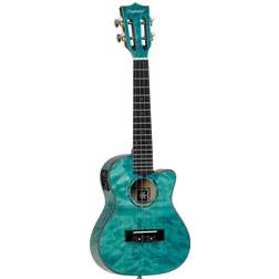 Tanglewood TWT 23 E