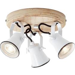 Brilliant Seed Takplafond