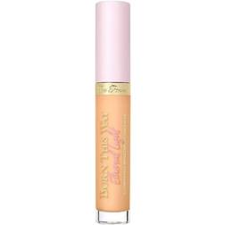 Too Faced Born This Way Ethereal Light Concealer Concealer