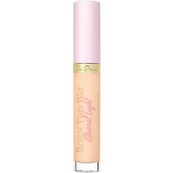 Too Faced Born This Way Ethereal Light Concealer Concealer