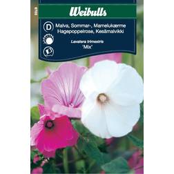 Weibulls Malva Mix Blomsterfrø