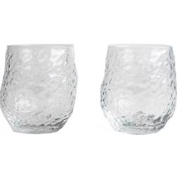 Byon Swan Drinking Glass 42cl 2pcs