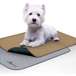 Paw Inspired Paw Inspired Washable Dog Pads, 2 count