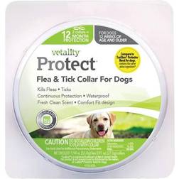 Vetality Protect Flea & Tick Dog Collar