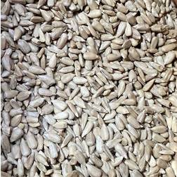 Hobby First Shelled Sunflower