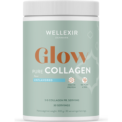 Wellexir Glow Pure Collagen 300g