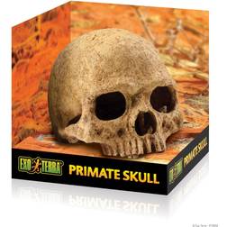 Exo Terra Primate Skull