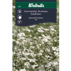 Weibulls Sommarslöja Blomsterfrø
