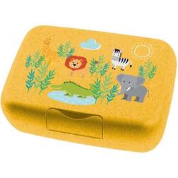 Koziol Africa L Candy Lunch Box