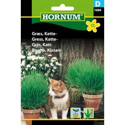 Hornum Kattgräs Mix frö