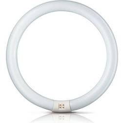 Philips G10q 22W 865 ring-lysstofrør Master Circular TL-E