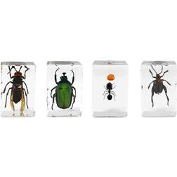 Celestron 3D Bug Specimen Kit No. 5