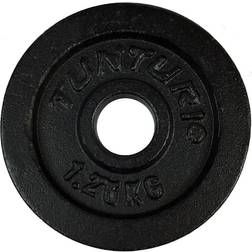 Tunturi Viktskiva Disc Gjutjärn 1,25kg Ø30 mm