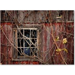 Trademark Fine Art Lois Bryan 'Old Barn Window' Canvas Art,16x24 Wall Decor