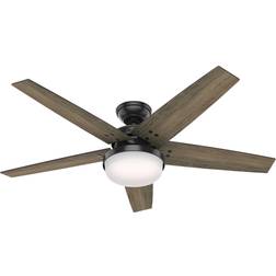 Hunter Fan Brenham Fan with Light Kit