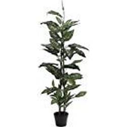 Europalms Dieffenbachia, artificial, 120cm Kunstig plante