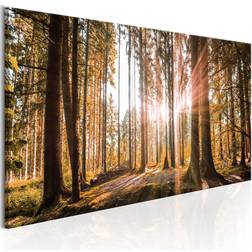 Artgeist Small Natural Wonders Maleri 135x45cm