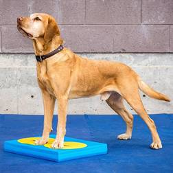 FITPAWS Pet Balance Pad