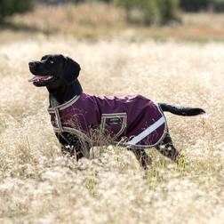 Amigo Dog Rug Ripstop XL