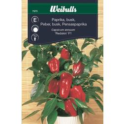 Weibulls Paprika Redskin F1 Grøntsagsfrø