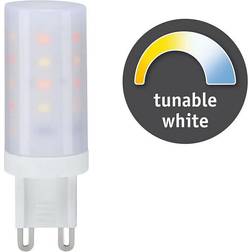 LED-pistokantalamppu Paulmann Pin Base, G9, 300lm, 4W, säädettävä värilämpötila, kirkas