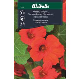 Weibulls Krasse Scarlet Gleam Blomsterfrø