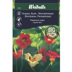 Weibulls Krasse Jewel Mix Blomsterfrø