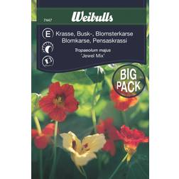 Weibulls Krasse Jewel Mix