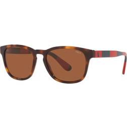 Polo Ralph Lauren Tortoise Frame Brown Lens